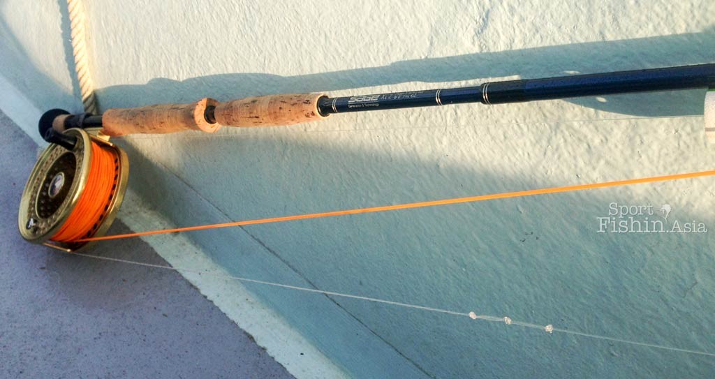 sage-rod-thomas-and-thomas-islander-reel-fly-fishing-sailfish-rompin