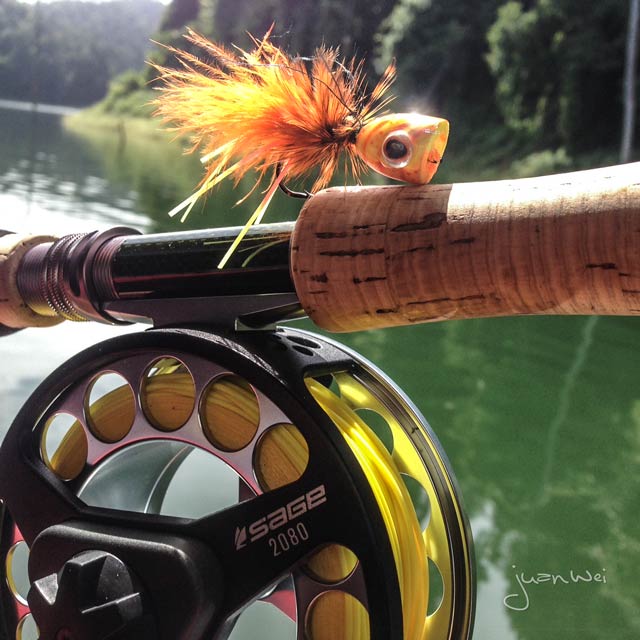 best fly rod and reel combos Reel Combos Best Trout Fishing Combo Flyrod Kit 10 Best Fly Fishing Rod And Reel  Combos