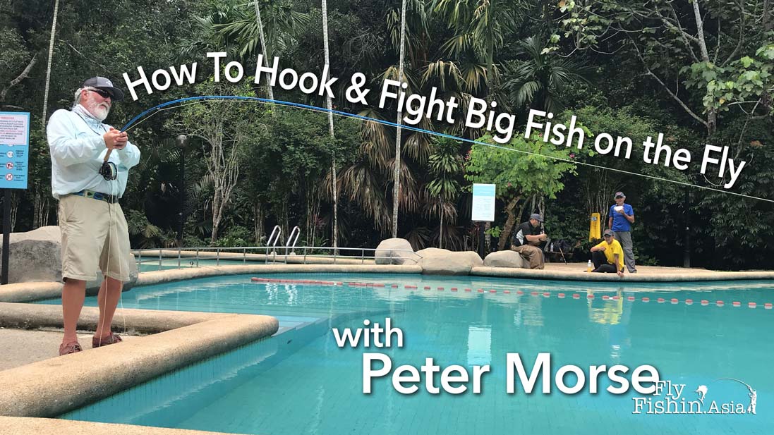 How to hook and fight big fish on the fly Video with Peter Morse
