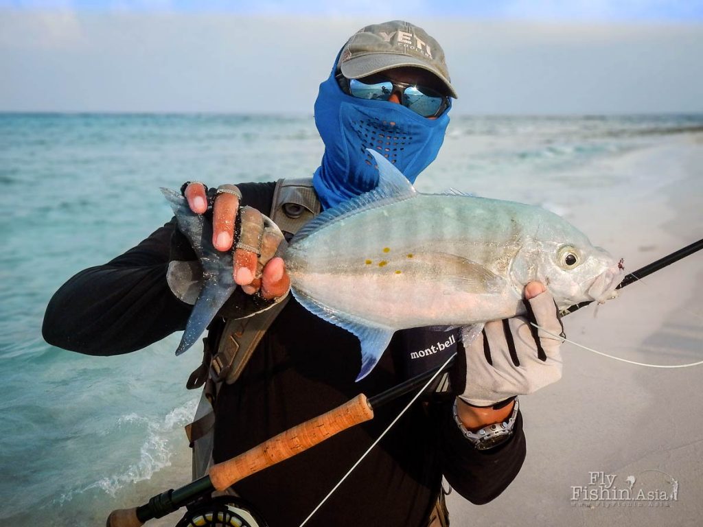 Island trevally