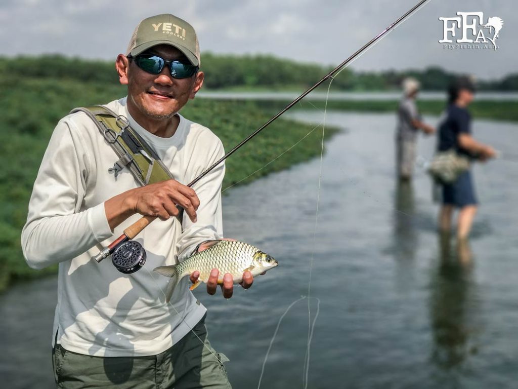 Fly fishing In Malaysia for Silver Barb