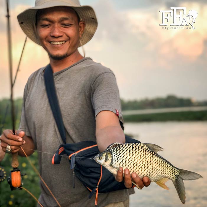 Fly fishing In Malaysia for Silver Barb